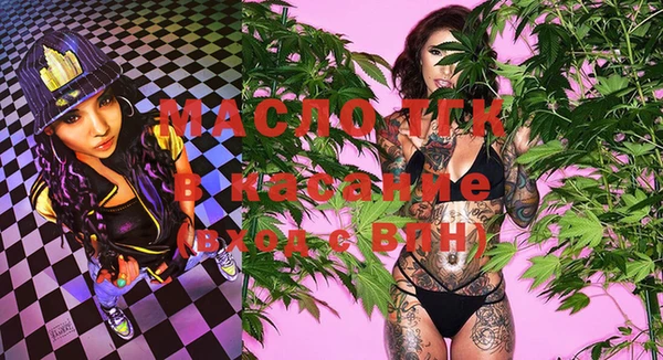 ECSTASY Горняк