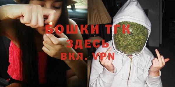 ECSTASY Горняк