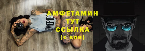 ECSTASY Горняк