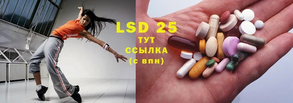 ECSTASY Горняк
