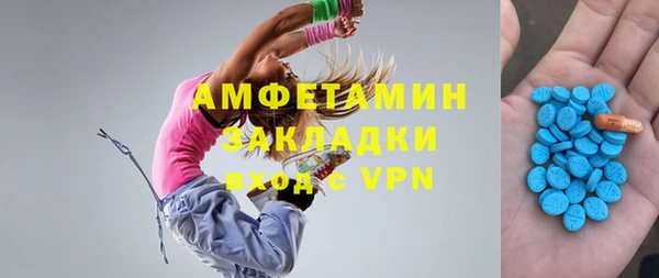 ECSTASY Горняк