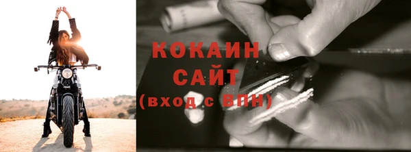 ECSTASY Горняк