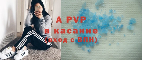ECSTASY Горняк